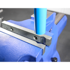 Quick Action Cast Iron Vice with Swivel Base 150mm QAV150