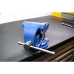 Quick Action SG Iron Vice with Swivel Base 125mm QAVE125