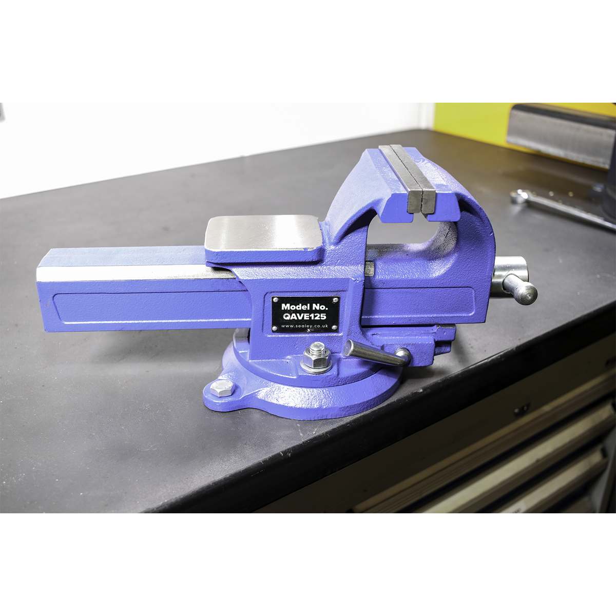 Quick Action SG Iron Vice with Swivel Base 125mm QAVE125