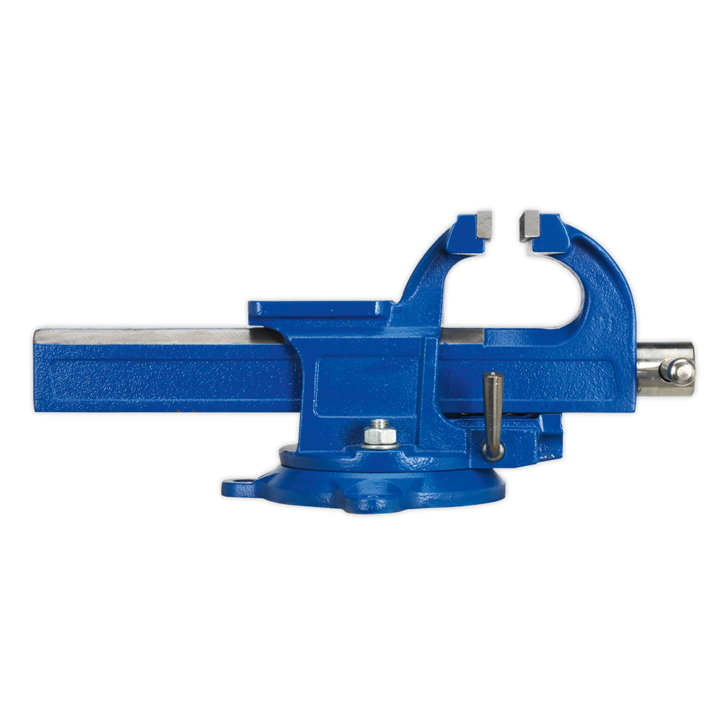 Quick Action SG Iron Vice with Swivel Base 125mm QAVE125