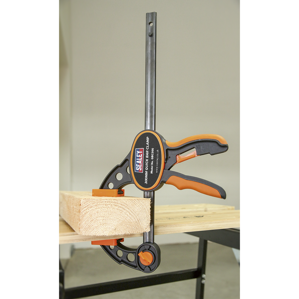 Quick Bar Clamp Set 300mm 2pc QBC3002