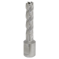 12mm HSS Mag Drill Bit Cut Depth 50mm RBHSS12L