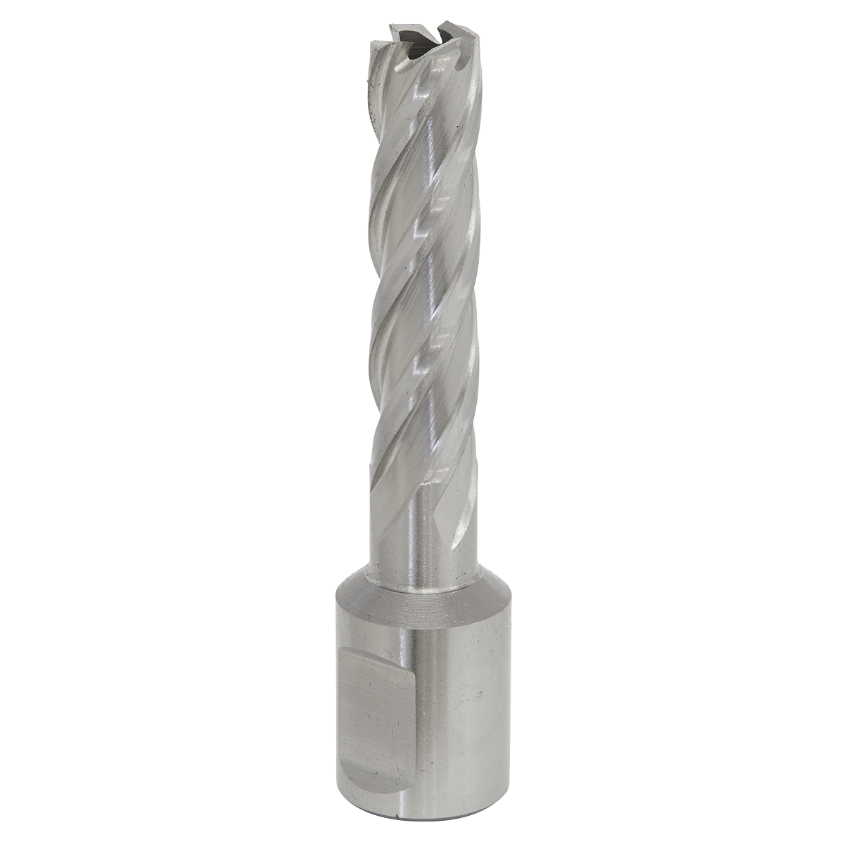 12mm HSS Mag Drill Bit Cut Depth 50mm RBHSS12L
