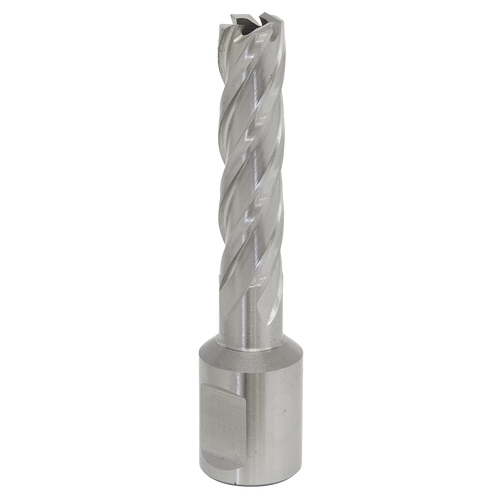 12mm HSS Mag Drill Bit Cut Depth 50mm RBHSS12L