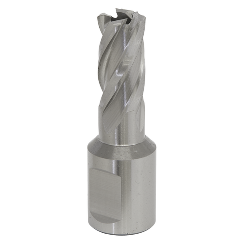12mm HSS Mag Drill Bit Cut Depth 25mm RBHSS12S