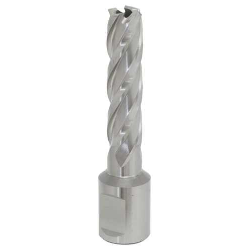 13mm HSS Mag Drill Bit Cut Depth 50mm RBHSS13L