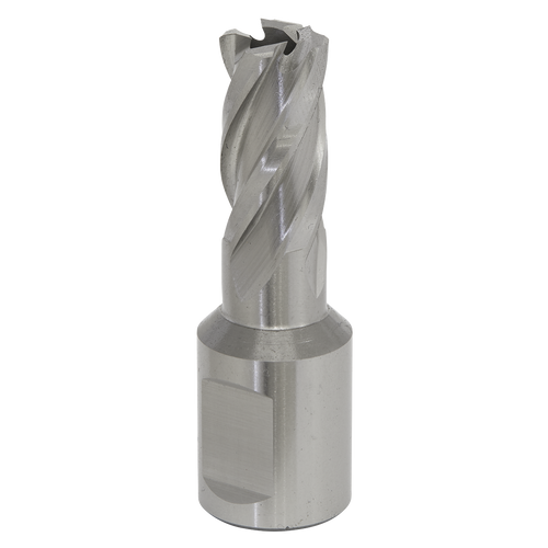 13mm HSS Mag Drill Bit Cut Depth 25mm RBHSS13S