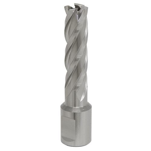 14mm HSS Mag Drill Bit Cut Depth 50mm RBHSS14L