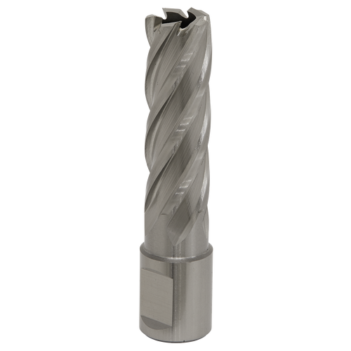 17mm HSS Mag Drill Bit Cut Depth 50mm RBHSS17L