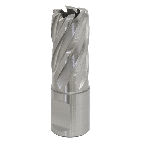 17mm HSS Mag Drill Bit Cut Depth 25mm RBHSS17S