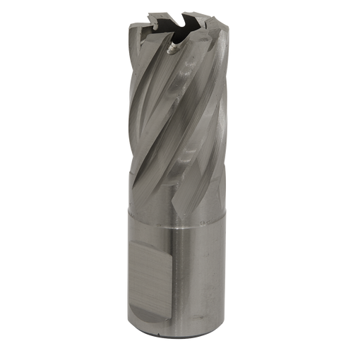19mm HSS Mag Drill Bit Cut Depth 25mm RBHSS19S