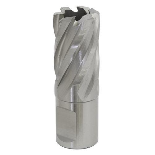 20mm HSS Mag Drill Bit Cut Depth 25mm RBHSS20S