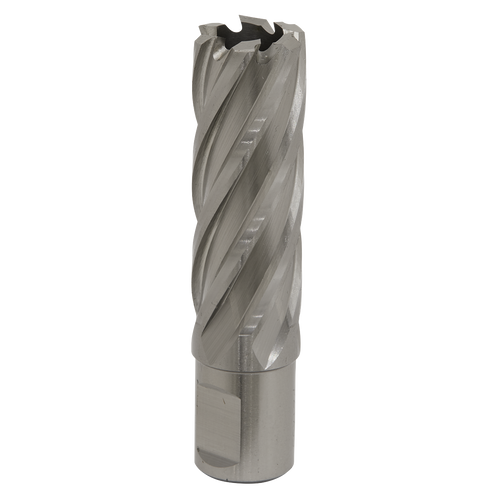 21mm HSS Mag Drill Bit Cut Depth 50mm RBHSS21L