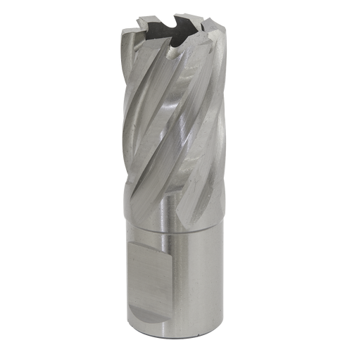 21mm HSS Mag Drill Bit Cut Depth 25mm RBHSS21S