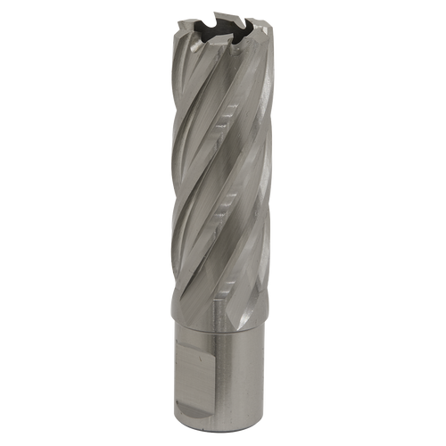 22mm HSS Mag Drill Bit Cut Depth 50mm RBHSS22L