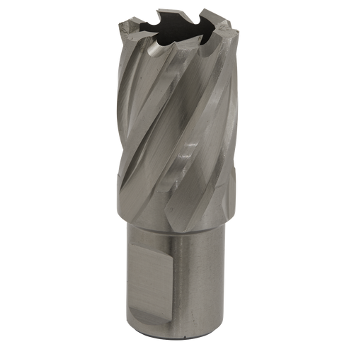 22mm HSS Mag Drill Bit Cut Depth 25mm RBHSS22S