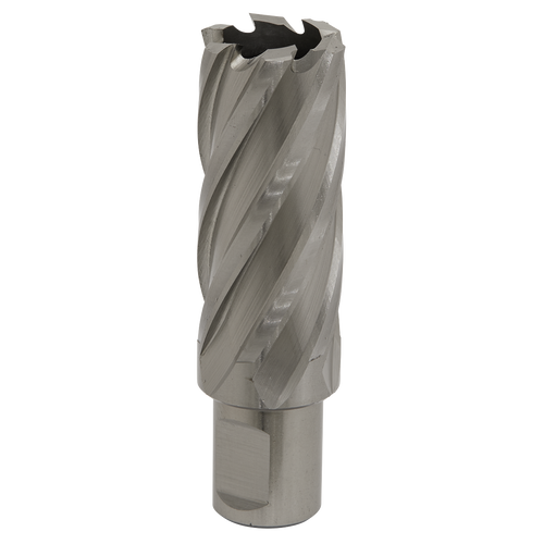 25mm HSS Mag Drill Bit Cut Depth 50mm RBHSS25L