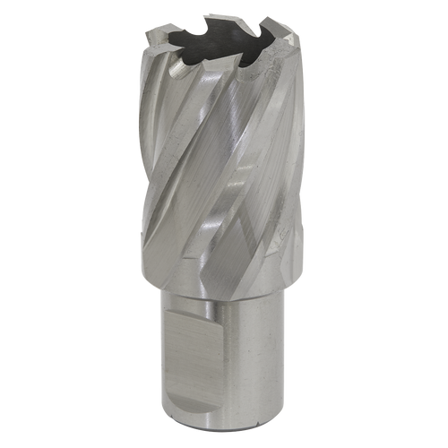 25mm HSS Mag Drill Bit Cut Depth 25mm RBHSS25S