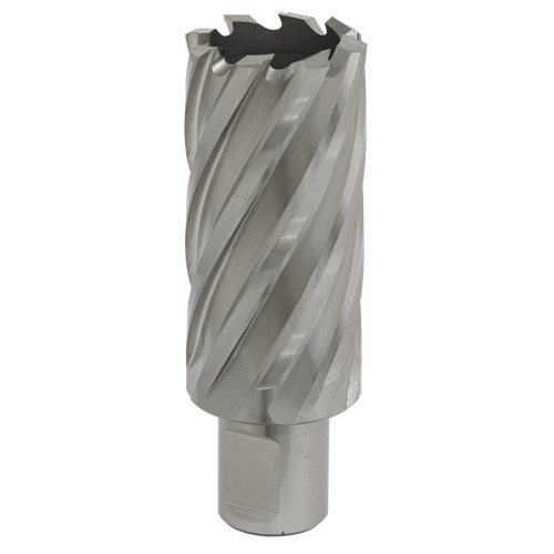 29mm HSS Mag Drill Bit Cut Depth 50mm RBHSS29L