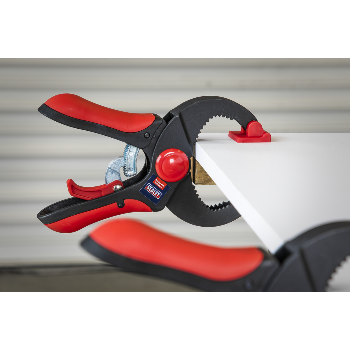 Ratchet Clamp 45mm RC50