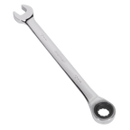 Combination Ratchet Spanner 10mm RCW10