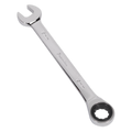 Combination Ratchet Spanner 19mm RCW19