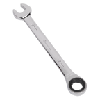 Combination Ratchet Spanner 19mm RCW19