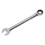 Combination Ratchet Spanner 19mm RCW19