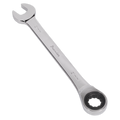Combination Ratchet Spanner 21mm RCW21