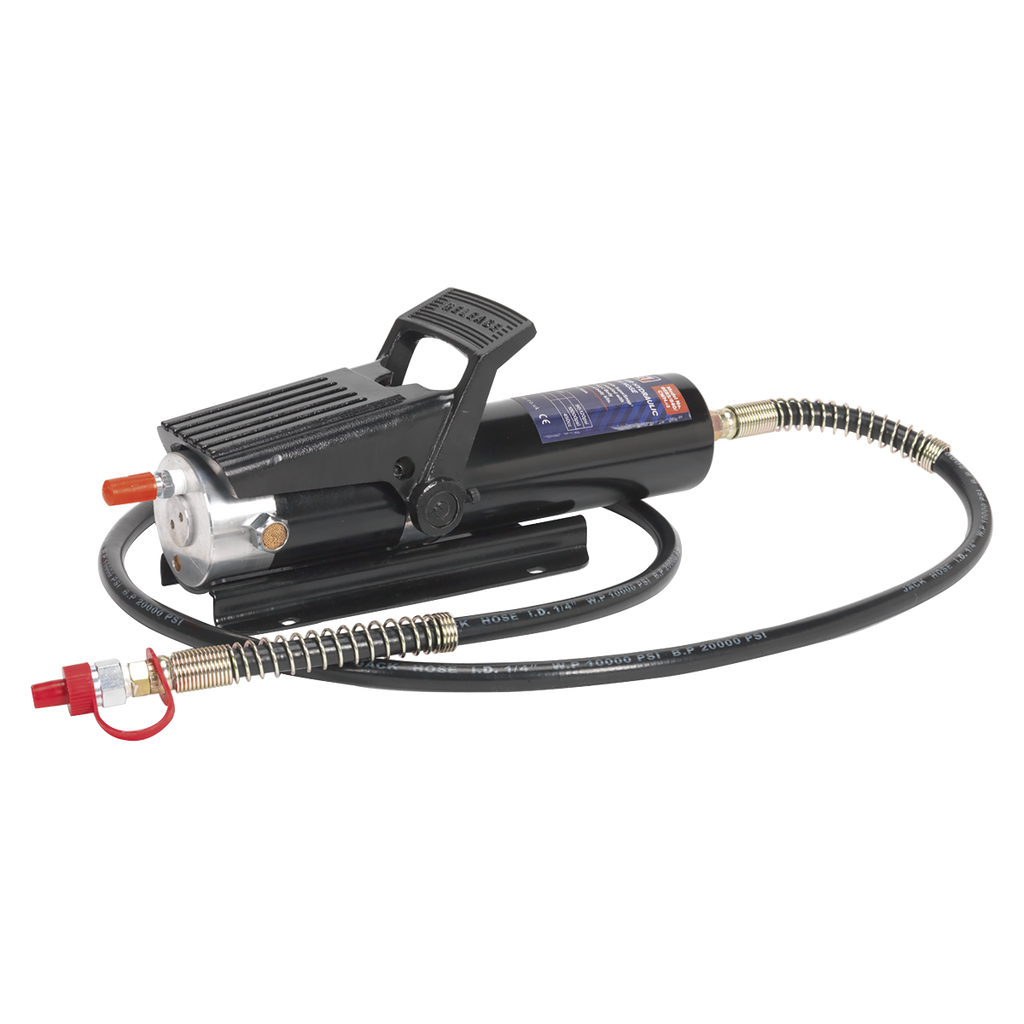 Air Hydraulic Pump with Hose 10 Tonne RE83/840/CWH