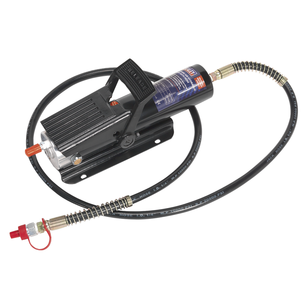 Air Hydraulic Pump with Hose 10 Tonne RE83/840/CWH