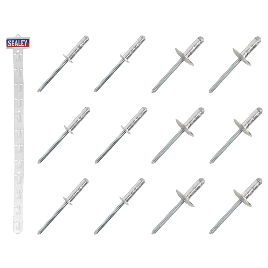 Clip Strip Deal - Aluminium Rivets RVSET