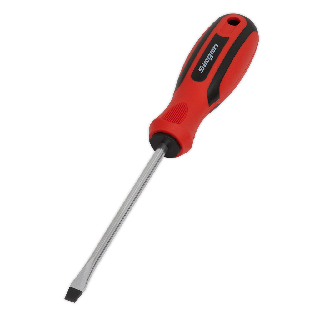 Slotted Screwdriver 5 x 100mm S01172