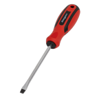 Slotted Screwdriver 5 x 100mm S01172