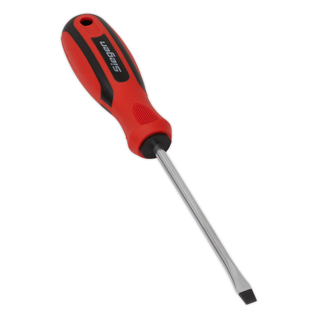 Slotted Screwdriver 5 x 100mm S01172