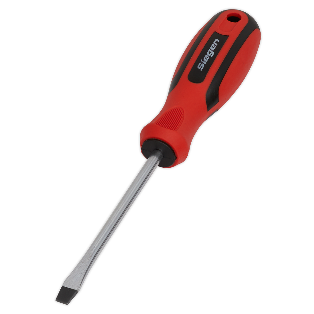 Slotted Screwdriver 6 x 100mm S01174
