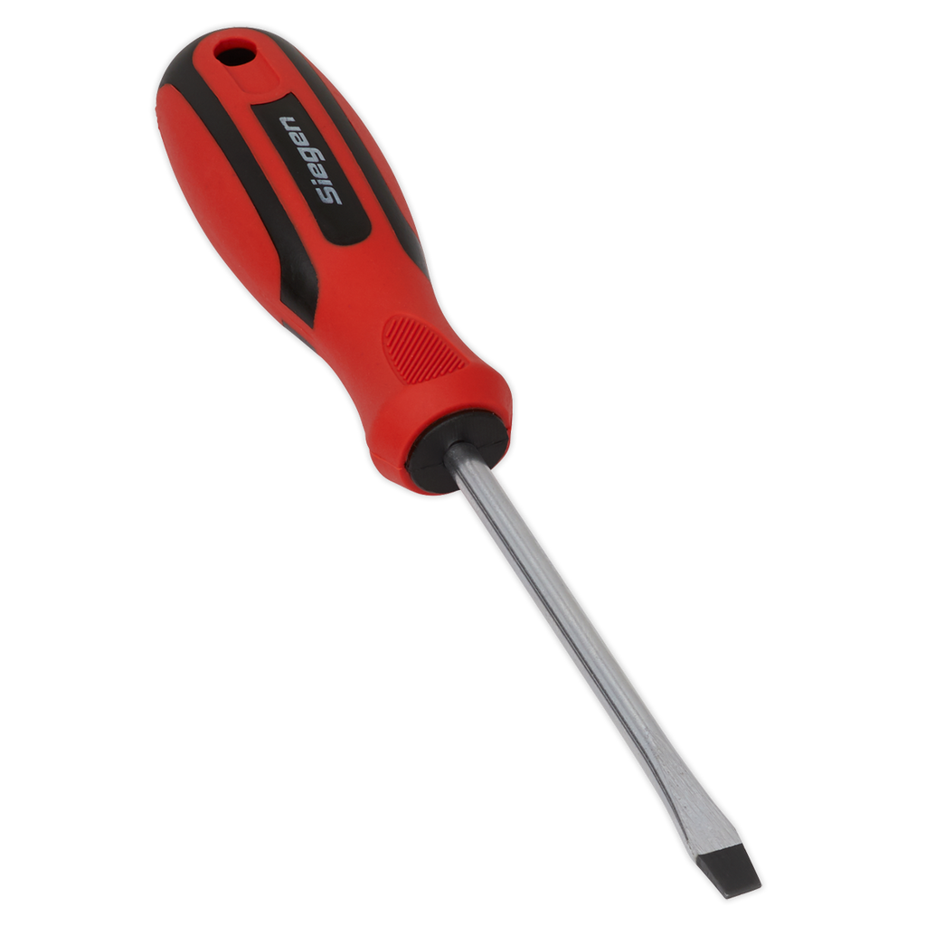 Slotted Screwdriver 6 x 100mm S01174