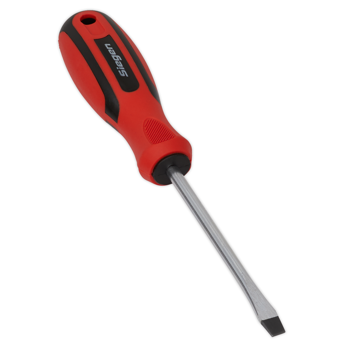 Slotted Screwdriver 6 x 100mm S01174