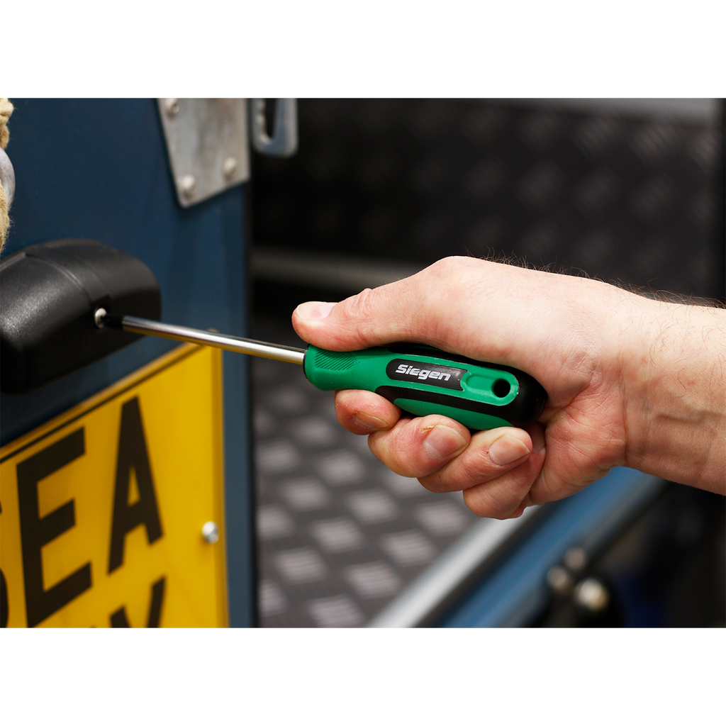 Pozi Screwdriver #2 x 100mm S01186
