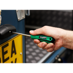 Pozi Screwdriver #2 x 100mm S01186