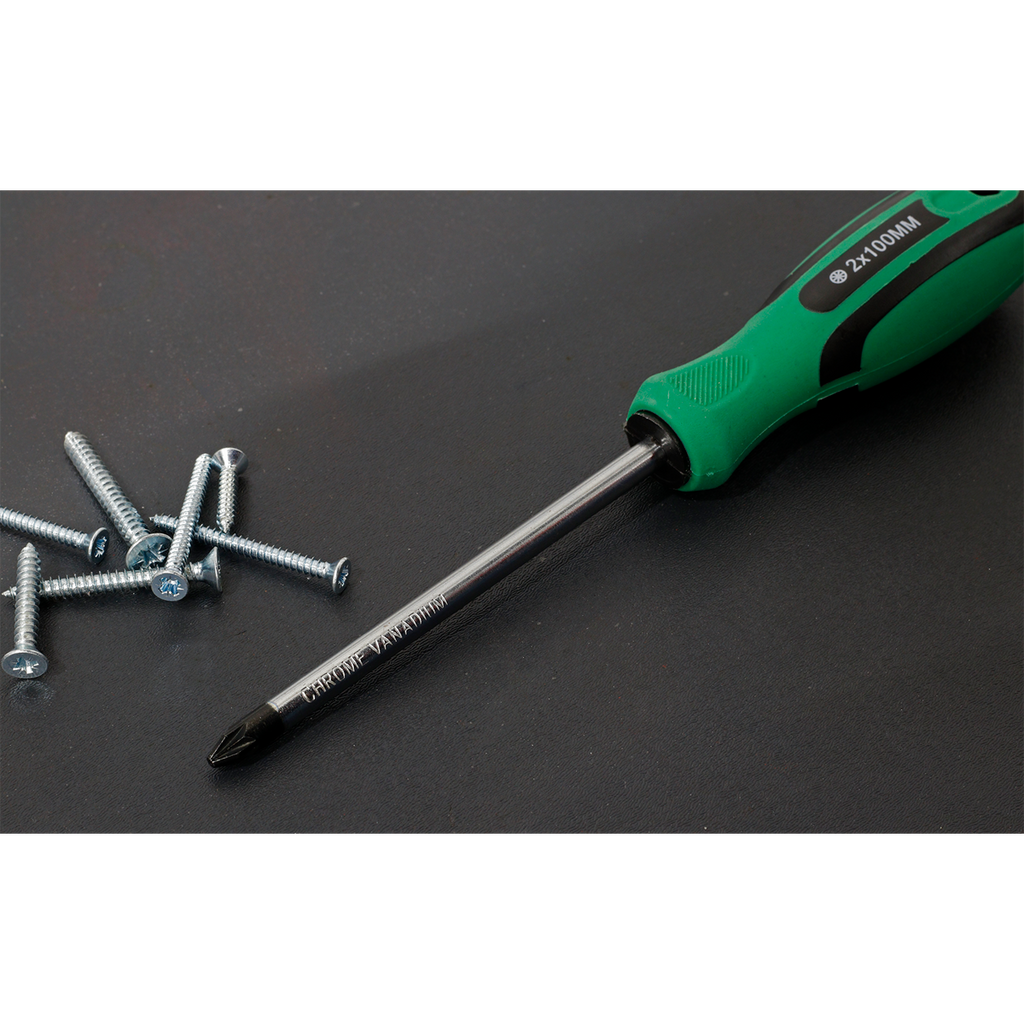 Pozi Screwdriver #2 x 100mm S01186