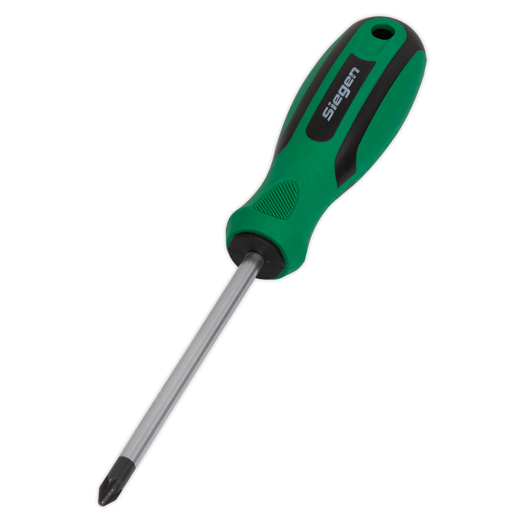 Pozi Screwdriver #2 x 100mm S01186