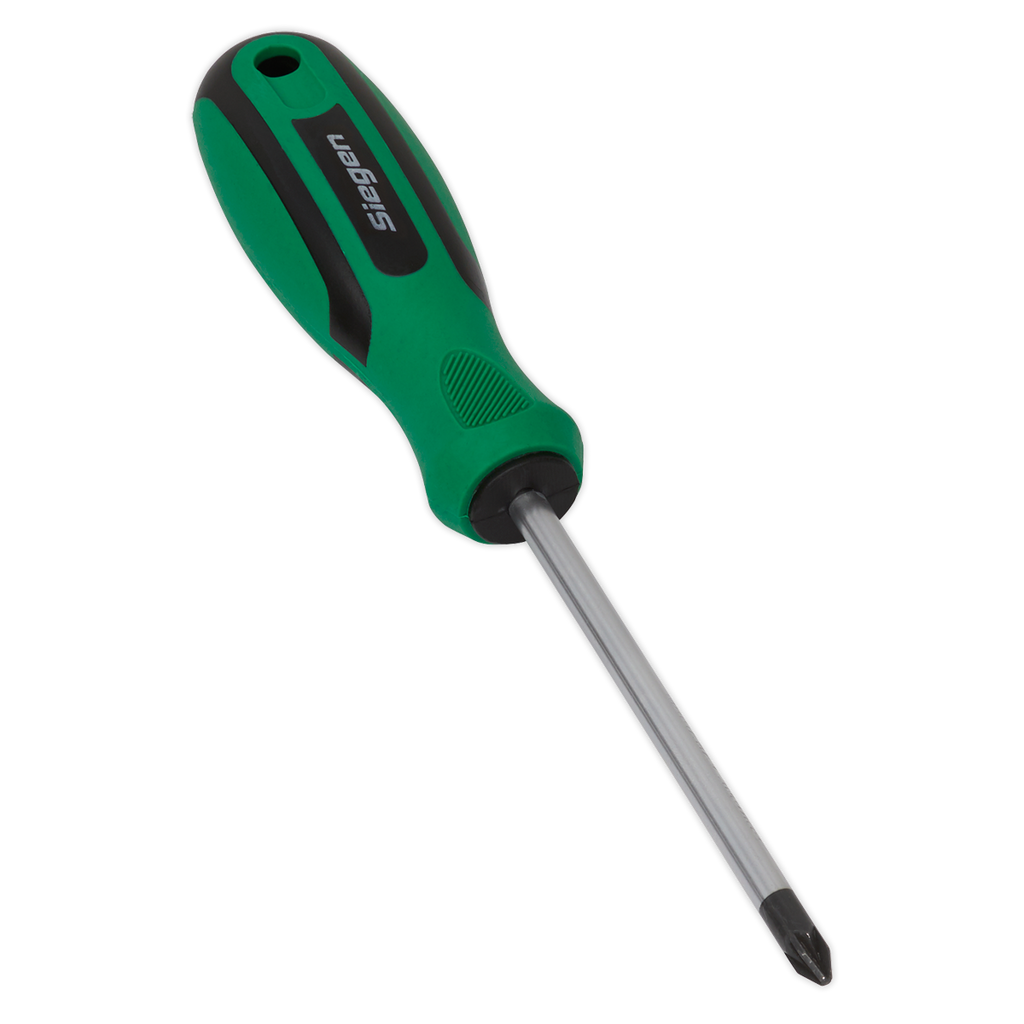 Pozi Screwdriver #2 x 100mm S01186