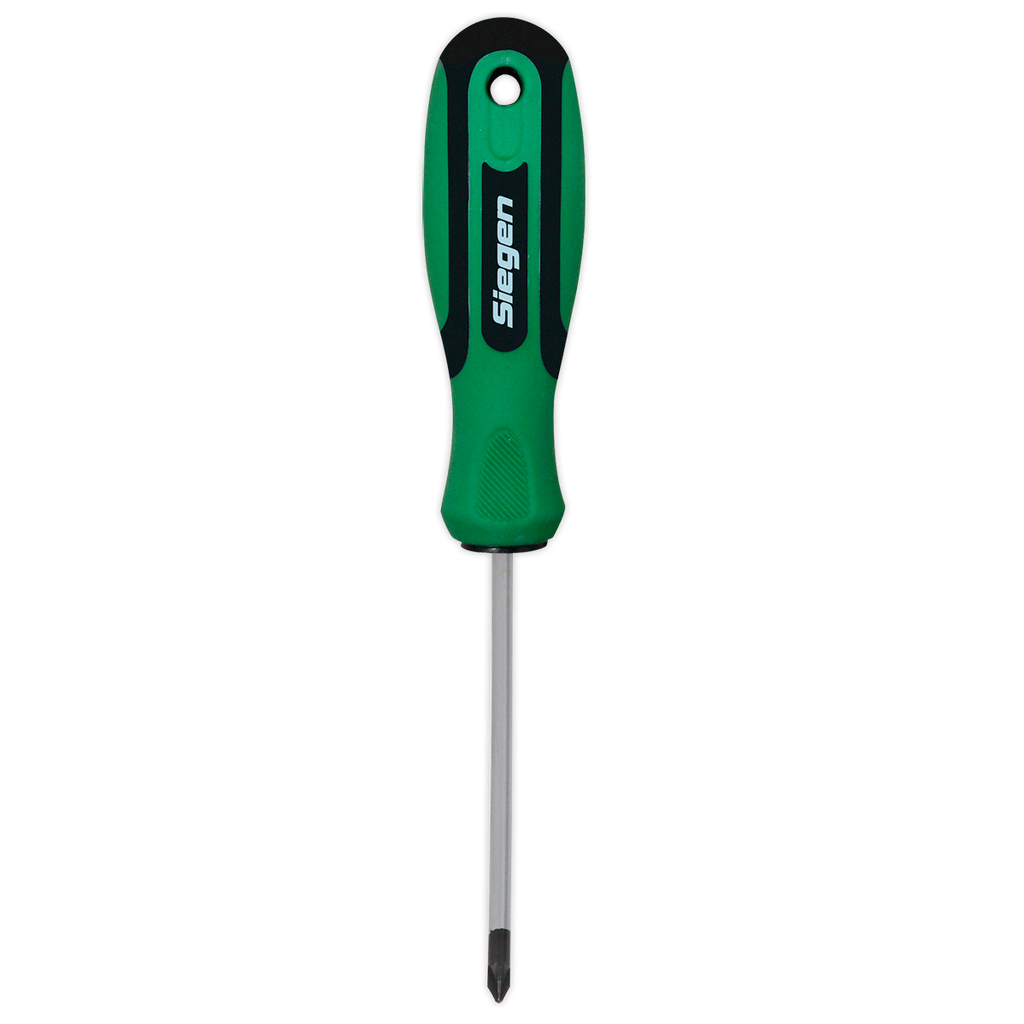 Pozi Screwdriver #2 x 100mm S01186
