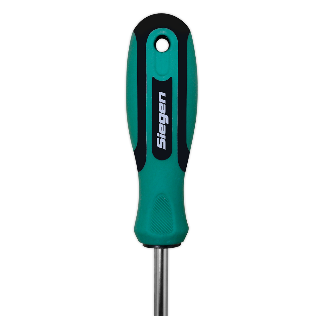 Pozi Screwdriver #2 x 100mm S01186