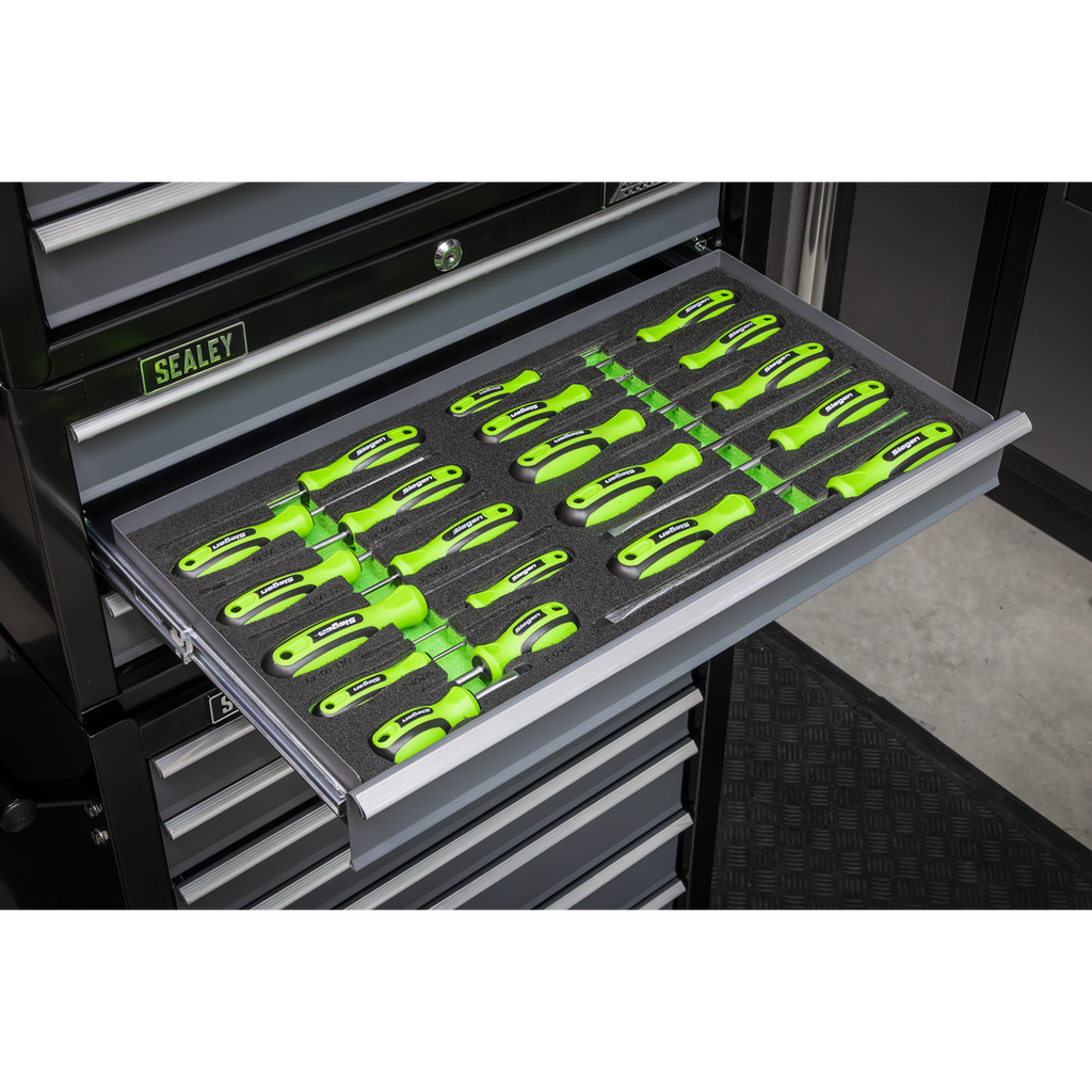 Screwdriver Set with Tool Tray 20pc S01276