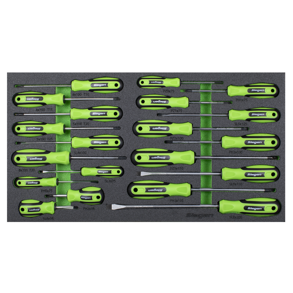 Screwdriver Set with Tool Tray 20pc S01276