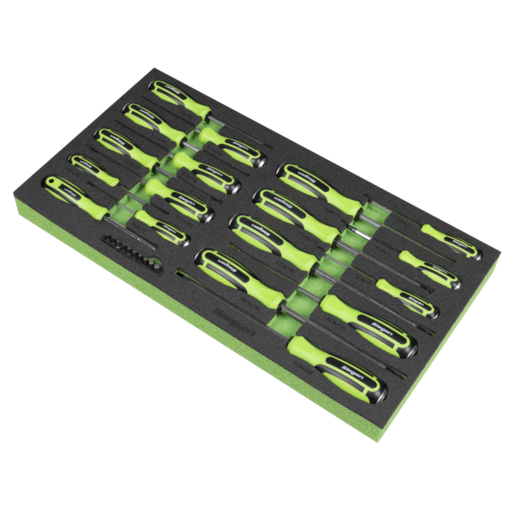 Hammer-Thru Screwdriver, Bit Driver & Bit Set with Tool Tray 28pc S01281