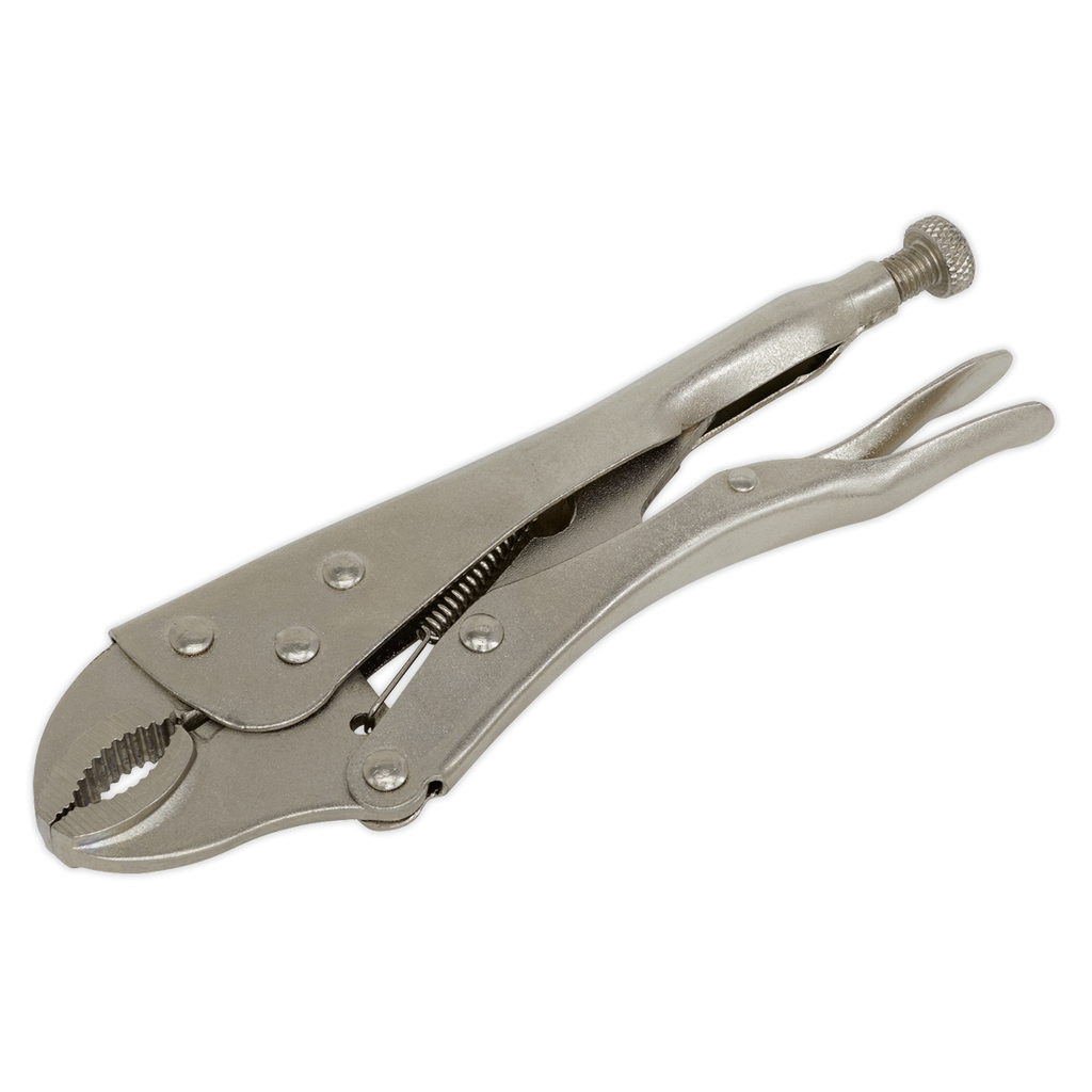 Locking Pliers 215mm S0487