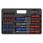 Soft Grip Screwdriver & Bit Set 23pc S0598